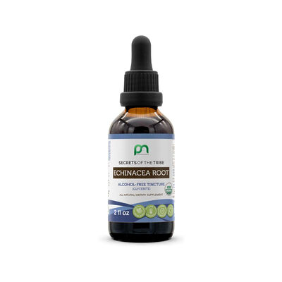 Tribe Echinacea Root Alcohol-Free Tincture – Certified Organic Echinacea Extract