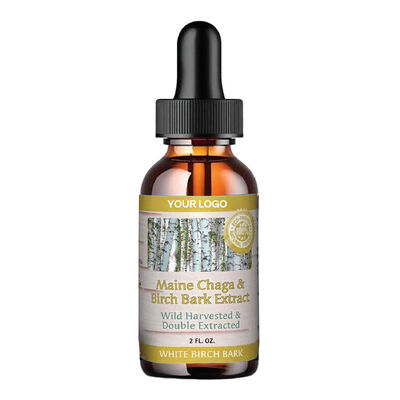 Maine Chaga & Birch Bark Liquid Extract Wild Harvested & Double Extracted