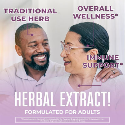 Organic Echinacea Purpurea Liquid Drops Alcohol Free Immune Support Vegan Herbal Supplements