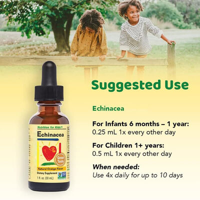 Kids Echinacea Immune Booster Herbal Supplement drops Natural Orange Flavor