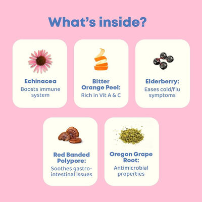 Immune Boost Oral Herbal Supplement Drops Echinacea Elderberry Anti Inflammatory
