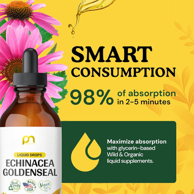 Alcohol Free Immune Supplement Drops Goldenseal Echinacea Liquid Glycerin Based