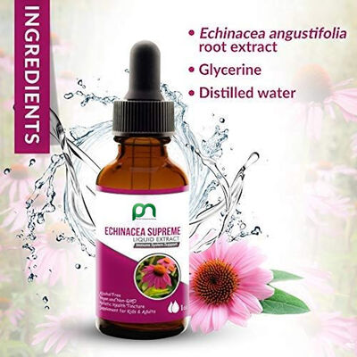 Kids Adults Supplement Drops super Echinacea angustifolia root extract Immune Booster