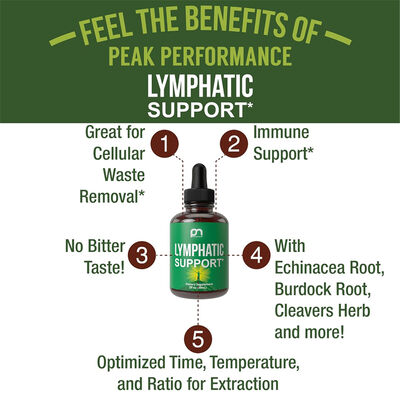Vegan Lymphatic System Support Supplement Echinacea Liquid Drops ODM