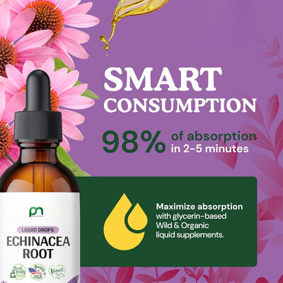 Echinacea Root Liquid Drops | Organic Immune Support Supplement for Adults