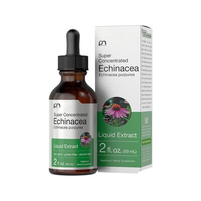 Echinacea Purpurea Liquid Extract Alcohol-Free Super Concentrated Formula Immune Support
