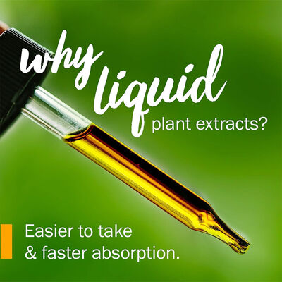 Liquid Echinacea Drops | 4-Part Plant Extract Blend | Immune Support