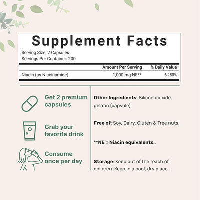 Flush-Free Niacinamide 1000mg | 400 Caps | Premium Vitamin B3 Supplement