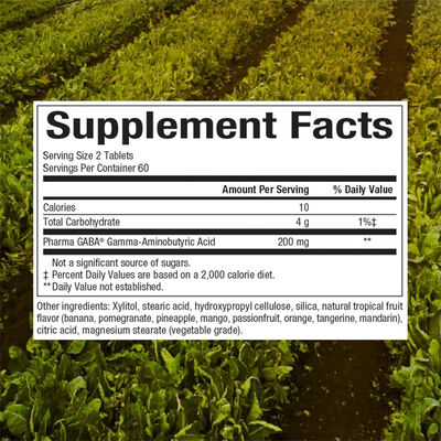 Source Naturals High-Potency GABA 750mg Calm Caps