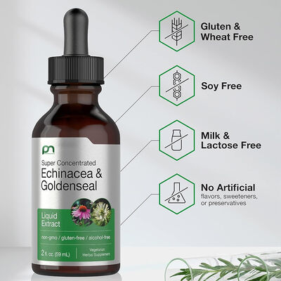 Echinacea Goldenseal Liquid Drops - Super Concentrated Alcohol-Free Extract