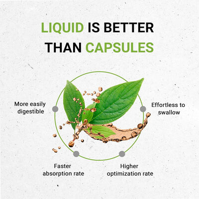 Tribe Echinacea Root Alcohol-Free Tincture – Certified Organic Echinacea Extract