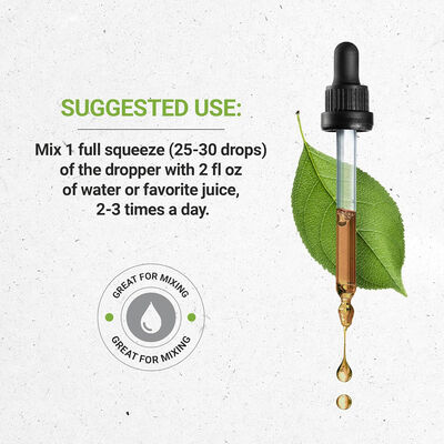 Tribe Echinacea Root Alcohol-Free Tincture – Certified Organic Echinacea Extract