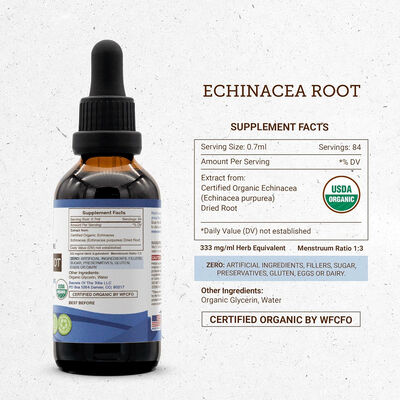 Tribe Echinacea Root Alcohol-Free Tincture – Certified Organic Echinacea Extract