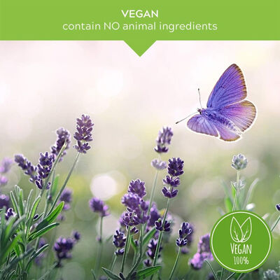 Echinacea Liquid Herbal Supplement - Augustifolia & Purpurea