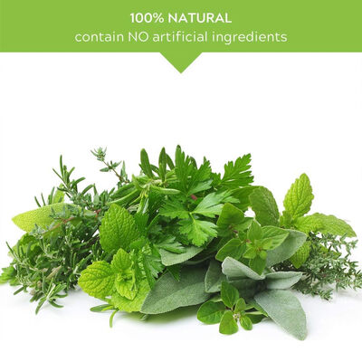 Echinacea Liquid Herbal Supplement - Augustifolia & Purpurea