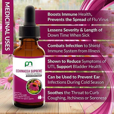 Holistic Health Truck Echinacea Supreme Liquid Extract – Echinacea angustifolia Root