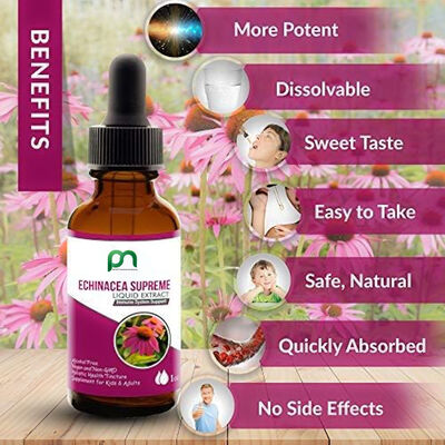 Holistic Health Truck Echinacea Supreme Liquid Extract – Echinacea angustifolia Root