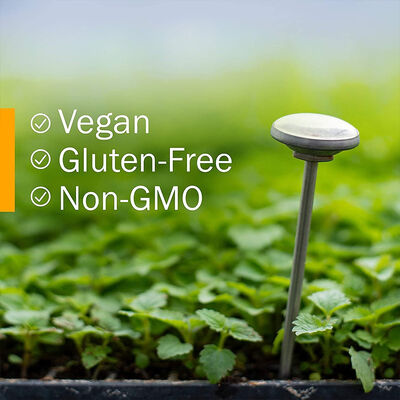 Golden Echinacea Liquid Herbal Supplement Drops Immune Support