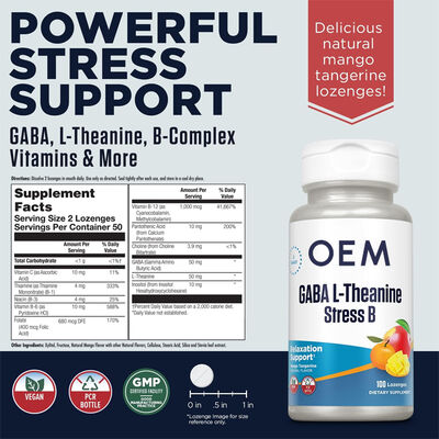 NeuroZen GABA & L-Theanine Stress Support Lozenges