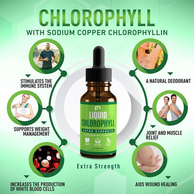 OEM Chlorophyll Liquid Drops with Sodium Copper Chlorophyllin Mulberry Leaf Extract