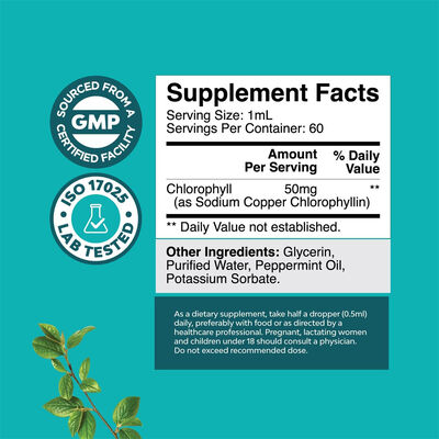 Liquid Chlorophyll Supplement – Sodium Copper Chlorophyllin, Peppermint Oil
