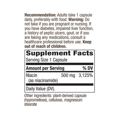 Health Glow Niacinamide 500mg Capsules | Non-Flushing Energy Support | 100 Count