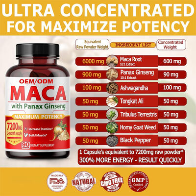 OEM Maca + Ginseng – Maximum Potency, Stamina & Energy
