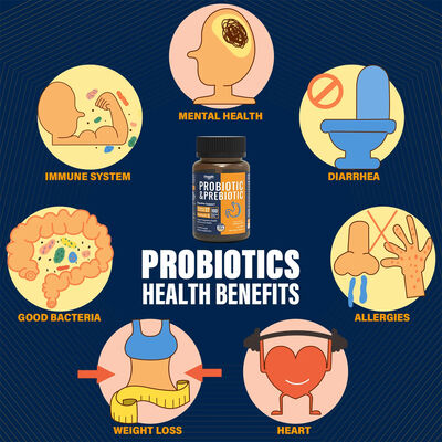 60-Count Probiotic Prebiotic Capsules for Digestive Health Support